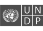 UNDP_4
